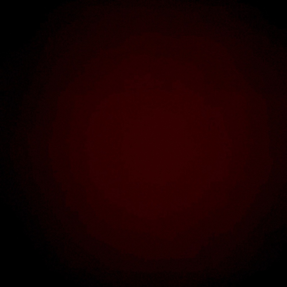 Meet your Posher, Annabel